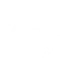 Pipa Local Trips