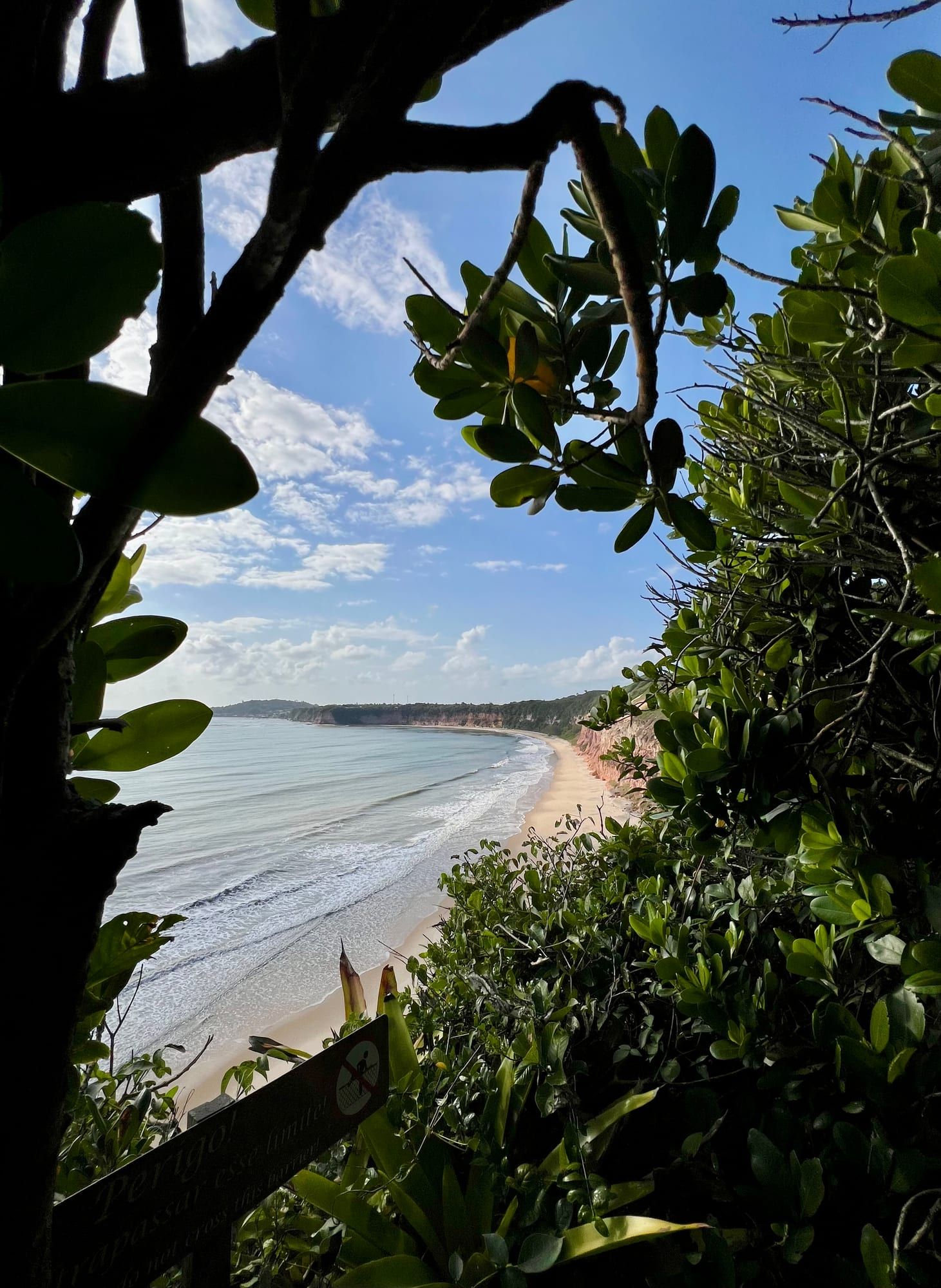 Praia do Madeiro vista do alto entre a vegetação de Mata Atlântica, em Pipa