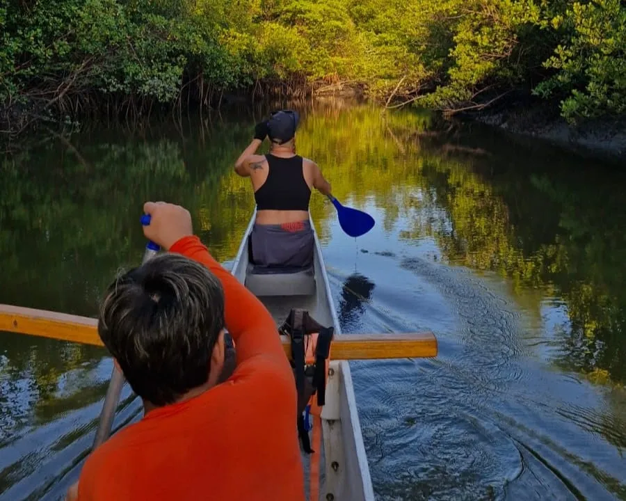 Vista de dentro da canoa havaiana: remadores em um canal estreito de manguezal com luz dourada de fim de tarde