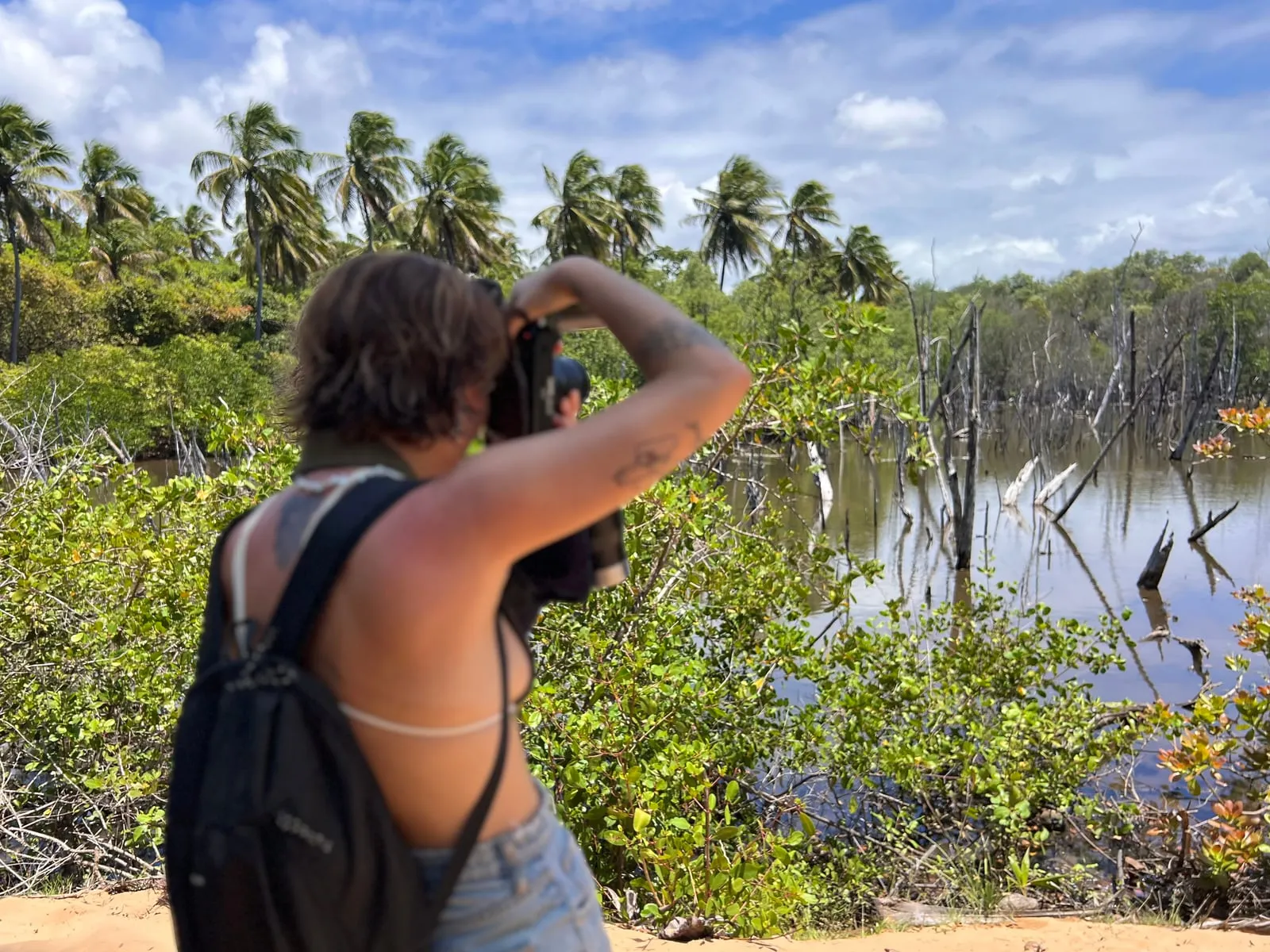Observadora fotografando aves à beira de uma lagoa com manguezal e coqueiros no entorno de Pipa