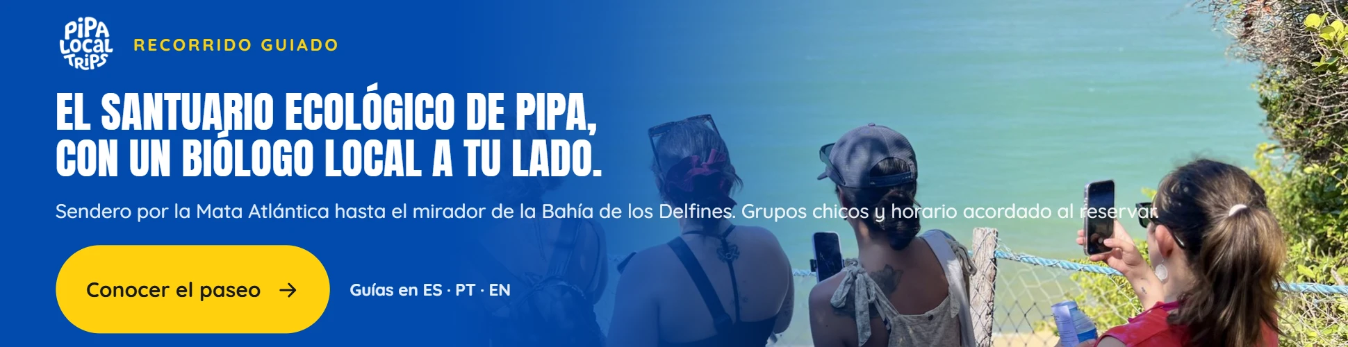 Inmersión Guiada en el Santuario Ecológico de Pipa con un biólogo local: sendero por la Mata Atlántica hasta el mirador de la Bahía de los Delfines. Escribí por WhatsApp.